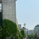 느티나무작은도서관 이미지