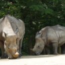 종보농장 이미지