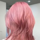 헤어미용기능사 자격증 이미지