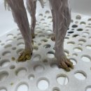 발렌티몽 이미지