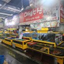 대성수산 이미지