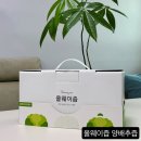 양배추즙 효능 올웨이즙 추천 마셔본 후기
