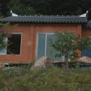향토집 Daum카페