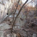 에덴동산 이미지