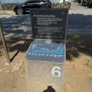 (주)정방 | 제주 올레길6코스 쇠소깍 소천지 정방폭포까지