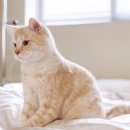 하이동물병원 이미지