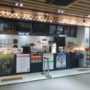 아리아리정선시네마 이미지