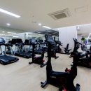 S휘트니스 이미지