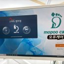 분당-397 이미지