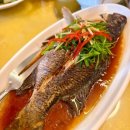 Spring Palace(스프링 팰리스) 이미지