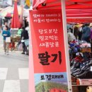 송백시장 이미지