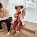 포항동물병원 이미지