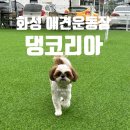 씨유 화성무송점 | 화성애견카페 댕코리아 안심하고 놀 수 있는 애견운동장.
