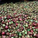 해금강호텔 야영장 이미지