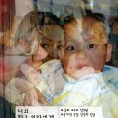 비크산업 네이버블로그