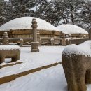 여주-0201 이미지