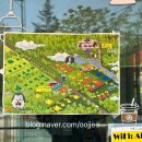 이소콘도 이미지