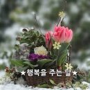 반씨농장 네이버블로그