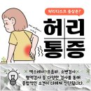 지혜내과의원 이미지