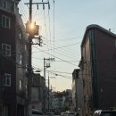 숨겨진 건대 이자카야, 삼동심야식당 성수점 메뉴 추천과 솔직 후기