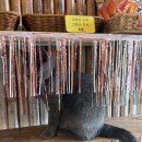 허니슬립 | 안산 대부도 허니비치 카페 with 귀여운 야옹이