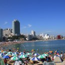 송도해수욕장 이미지