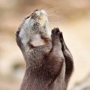 모이지 게스트하우스 이미지