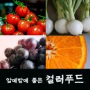 암예방에 좋은 컬러푸드 - 파이토케미컬 함유 채소와 과일들 이미지