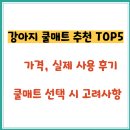강아지 쿨매트 추천 TOP 5 – 가격, 실제 사용 후기 포함