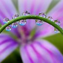 어리실천 이미지