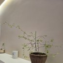 미니미니호계 이미지