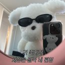 소소한 오늘