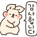 스콜라몬테소리세종새롬점 네이버블로그