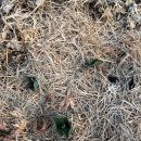 경기이천의료기 이미지