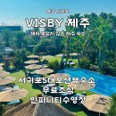 비스비전 이미지