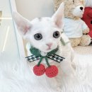 렉스타워 | 데본렉스분양 가족으로맞이해요