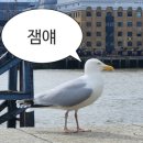 예은교회 | 모태솔로지만 연애는 하고 싶어