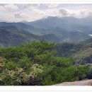 연리지 - 경주시 첨성로39번길 14 | 연리지