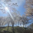 요천제방길 이미지