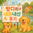 [김해] 몇 년째 가는 &#39;배가네 흥동 수제비&#39; 오늘도 내돈내산 먹고 온 후기 ★