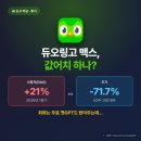 종가로(3)R | 듀오링고 맥스, 주가 71% 빠졌는데 지금 결제해도 될까?