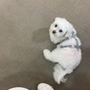 정우메디칼 | [ 러브온팁 ] 1탄. 러브온팁의 새로운 공간✨ㅣ나만 알고싶은 꼼꼼한 네일샵💖ㅣ물어뜯는 손톱교정ㅣ범계...