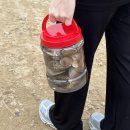 마시안갯벌체험장 이미지