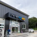 경북곰장어 | 영덕 맛집 추천, 아기랑 가기 좋은 일미장어곰장어 영덕점(내돈내산)