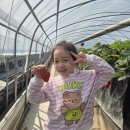 검은들농장 이미지