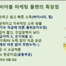 주식회사 비아블