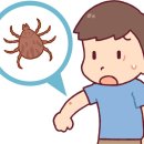 하버드어린이집 이미지