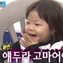 검정머리