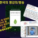 (주)조아조아테크 | 2025 용인시 조아용페스티벌, 주변관광지, 맛집, 여행꿀팁, 총정리