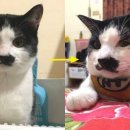 할머니집 이미지